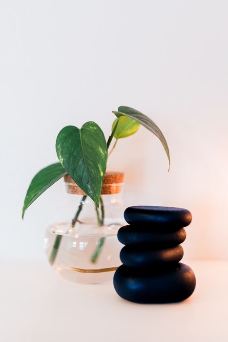 Hot stones and plant decor at our massage therapy center in Fort Collins, CO Hot stones placed next to a plant decor