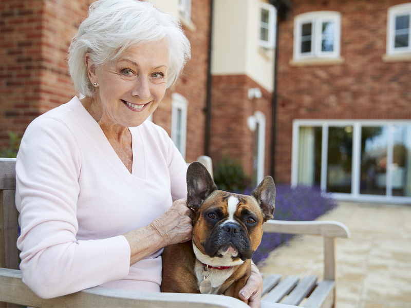 Portrait Of Senior Woman Sitting On Bench With Pet French Bulldog In Assisted Living Facility