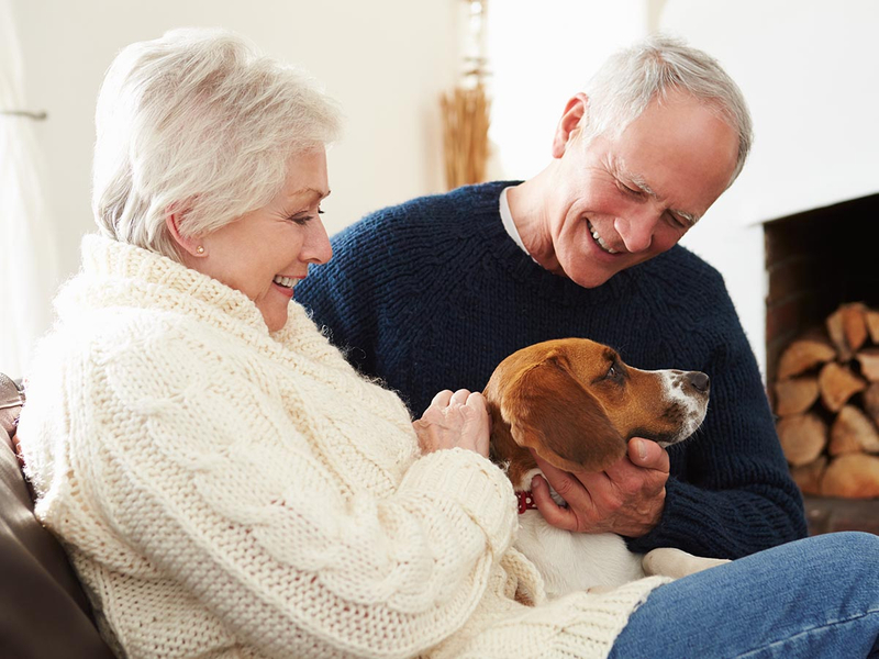 Senior couple sitting on the couch with a dog