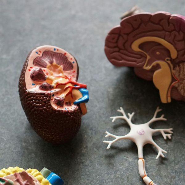 Functional Medicine 1.jpg