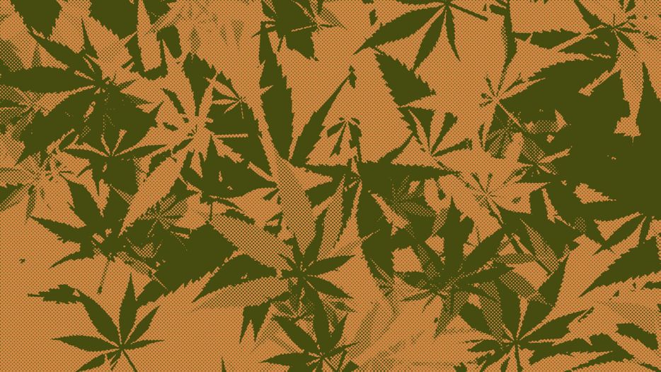cannabis leaf collage