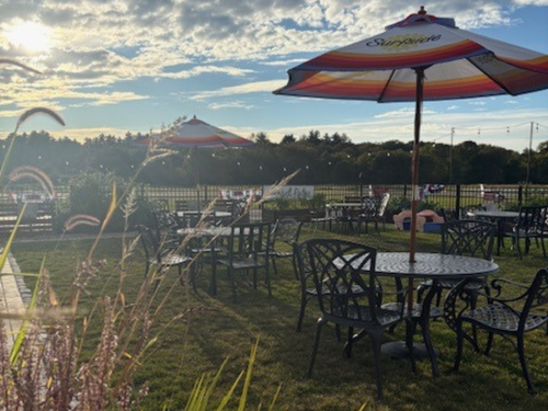 M321343  - Images  (16).png