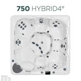 2020 allBirdsEye_750hybrid.jpg