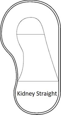 Kidney Straight.jpg