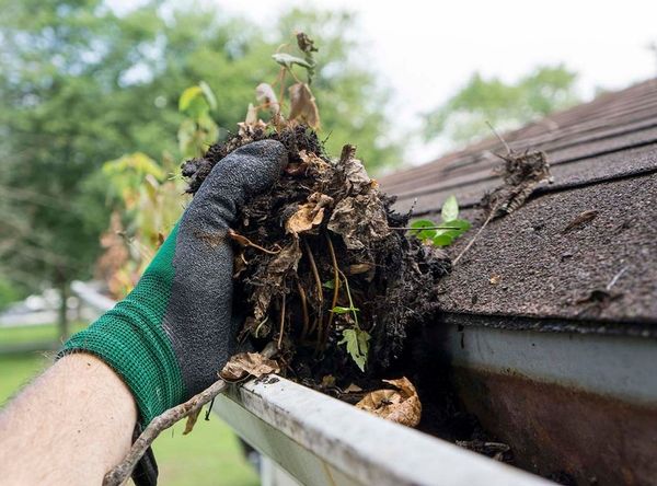 clenaing out handful of debris from gutters