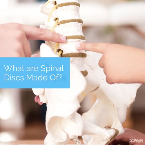 (FEB) Week 1 - What are Spinal Discs Made of.jpg