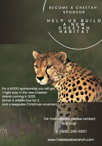 Cheeta Sponsorship.jpg