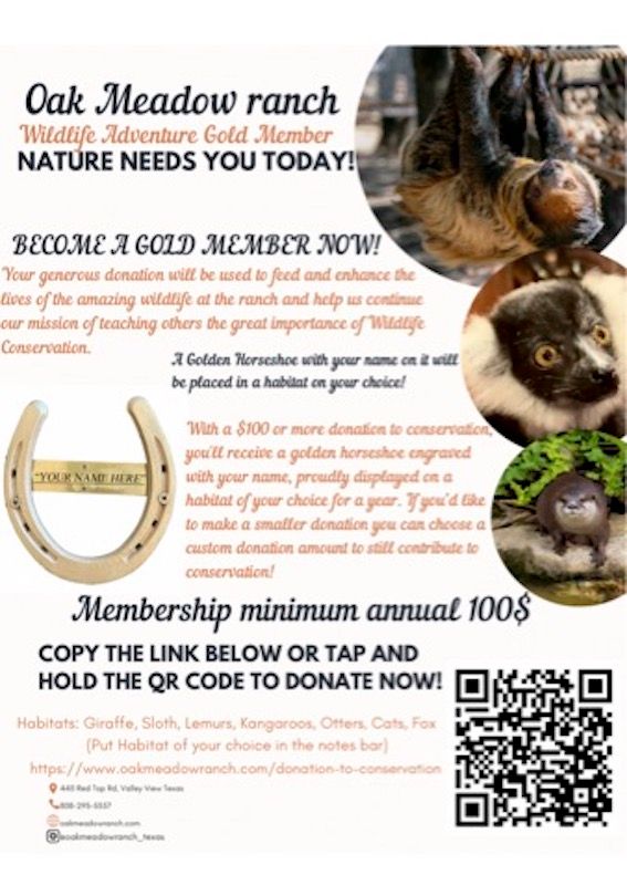horseshoe sponsor flyer.jpg