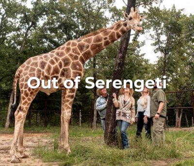 Out of Africa (4).png