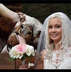 Bubba & Ringo: our Texas Longhorns. They were brothers and are quite the pair. Ringo was featured in Chrome Magazine & The Chive because of his hilarious antics. (pic below) Bubba & Ringo