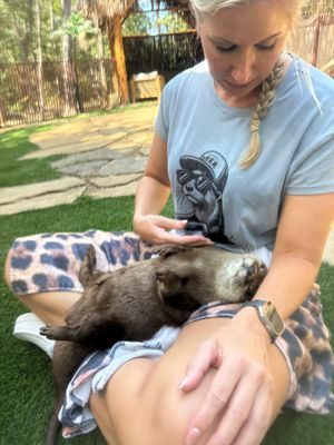 Otter Snuggle.jpg