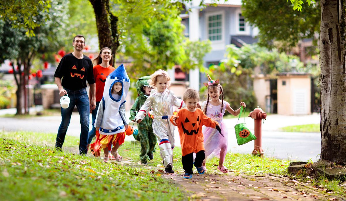 iStock-1431768090.jpg