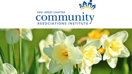 Untitled (210 x 300 px) (Presentation).jpg