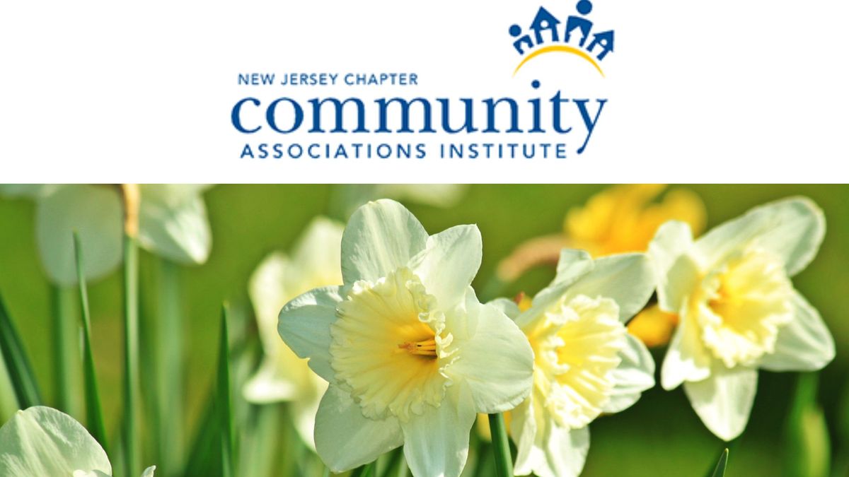 Untitled (210 x 300 px) (Presentation).jpg