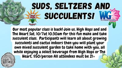 Suds Seltzers and Succulents.jpg