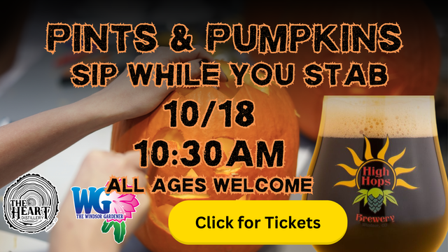 pints pumpkins.png