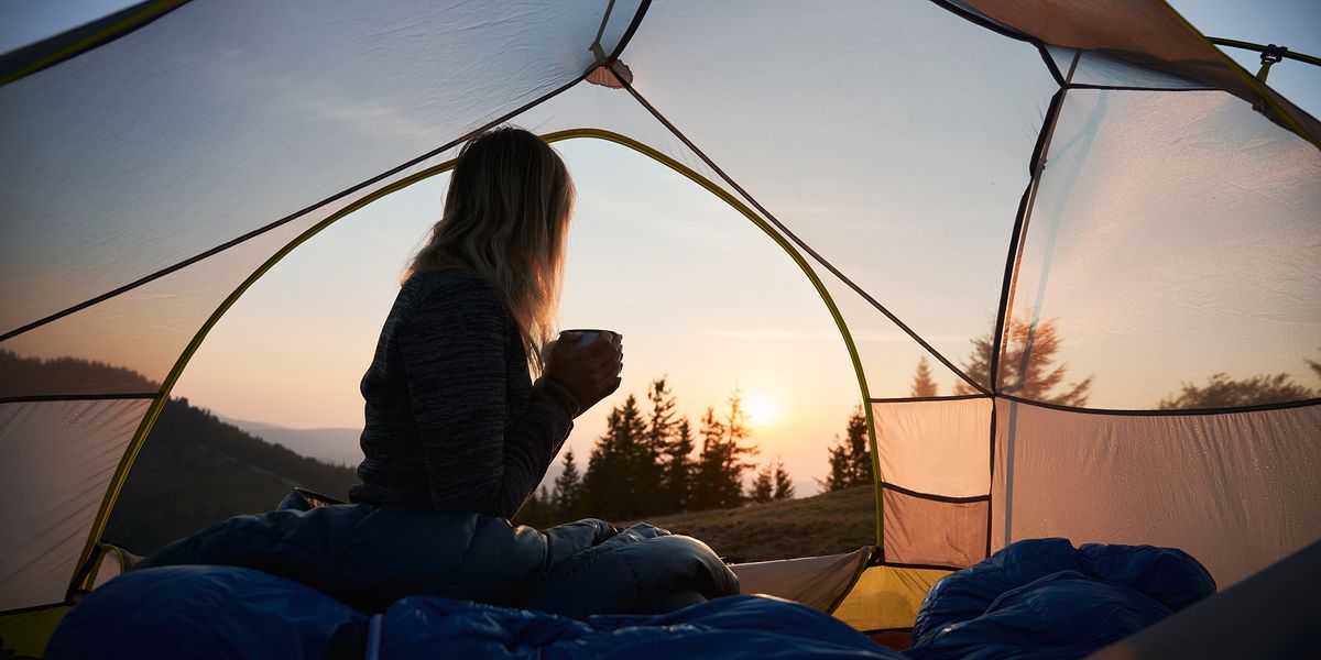 AdobeStock_471230195.jpeg
