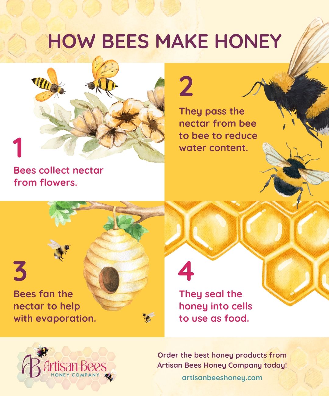 How Bees Make Honey Infographic