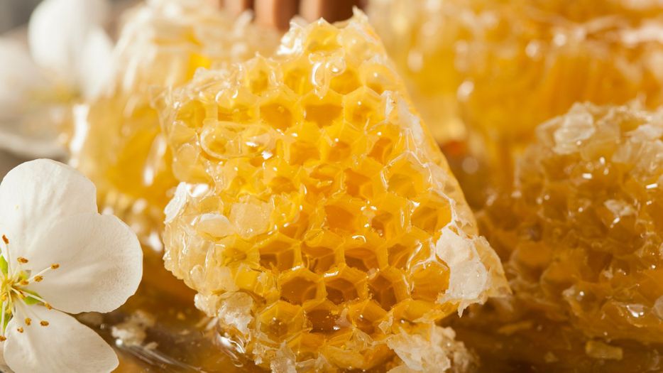 Close up of a honey comb