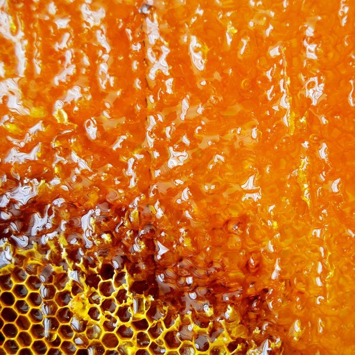 Thick honey on comb