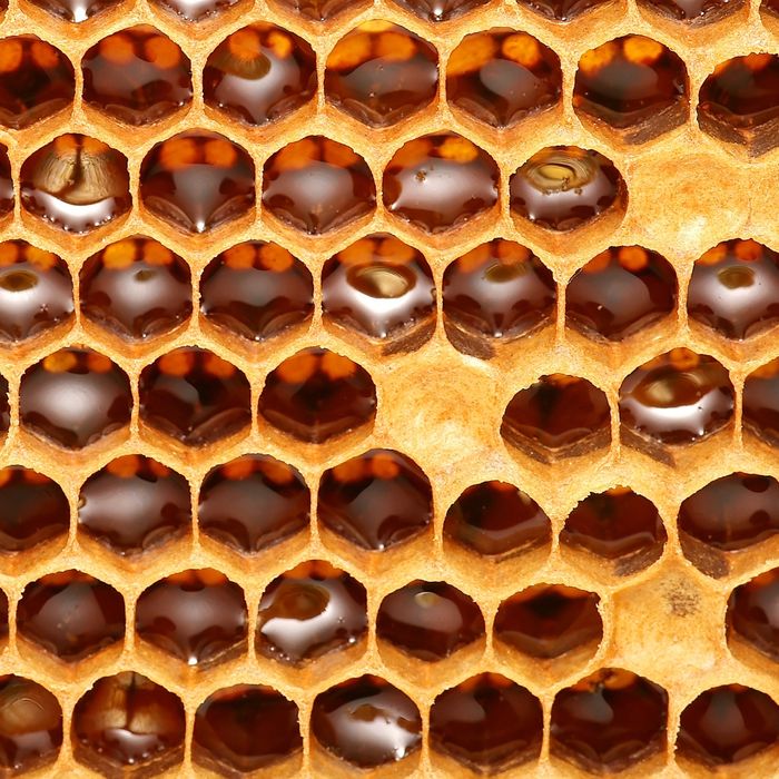 honey in honey combs