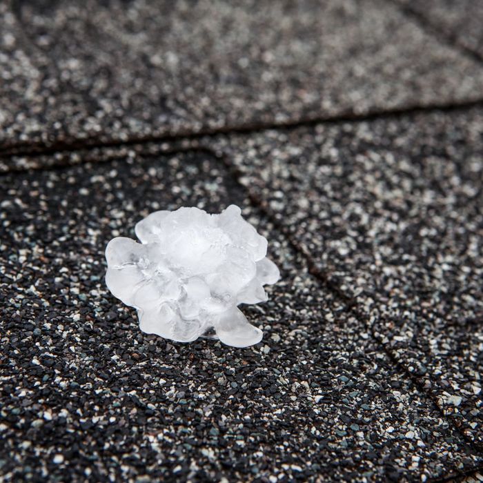 a peice of hail on a roof
