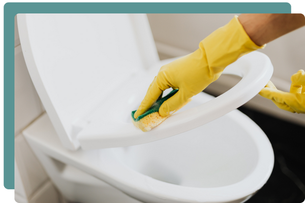 Cleaning Toilet Cleaning Toilet