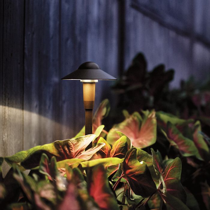 landscape lighting1.jpg