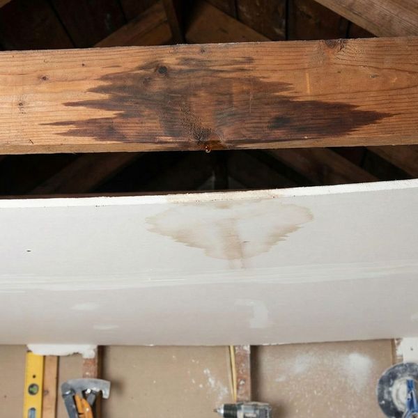 From the Top Down 1.jpg