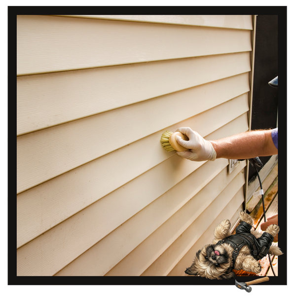Residential house siding