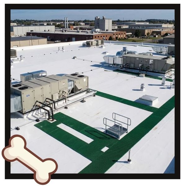 commercial flat roof 