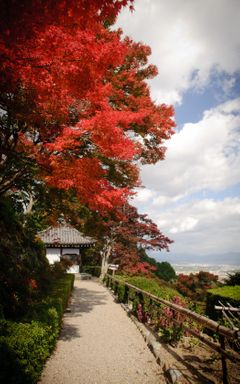 japan-fall-red-1050x1680.jpg