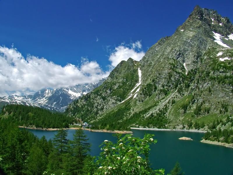 That Nice Alps Lake