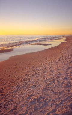 beach-1050x1680.jpg