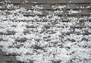 Shingle roof with hail on it
