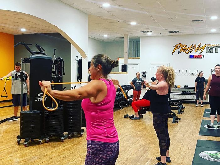 Women performing upper body resistance training