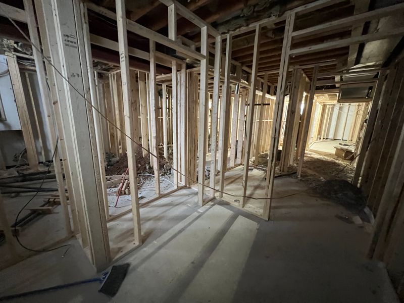 Specialty basement construction