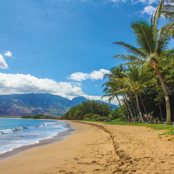 Hawaiian beach