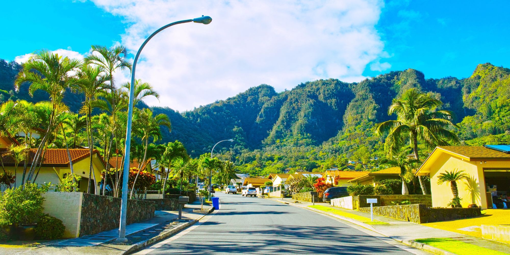 hawaii neighborhood road