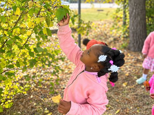 Get Started
