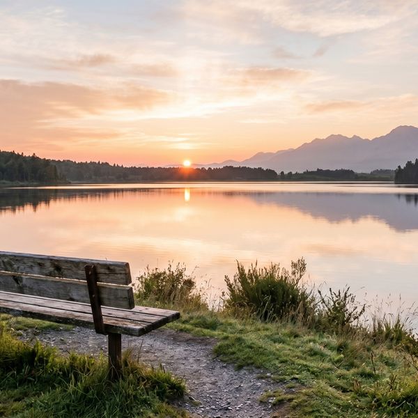 a wooden bench overlooking a calm lake at sunrise