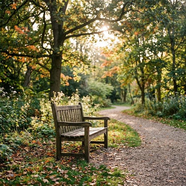 Cozy, warm image of a quiet wooden bench in a peaceful, sun-dappled park, gentle lighting, simple and serene setting.