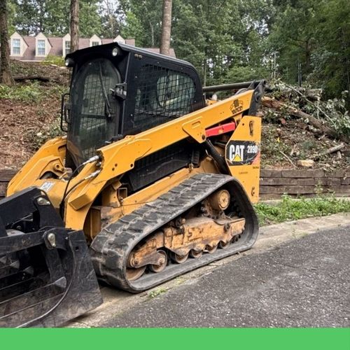 machine removing tree