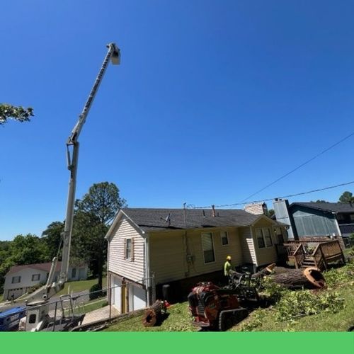 tree crane above house