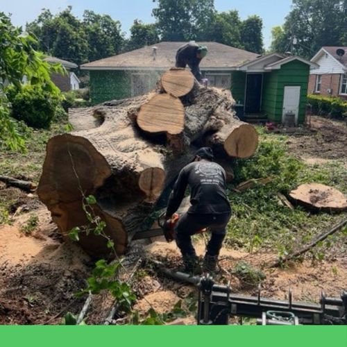 stump that is being grinded 