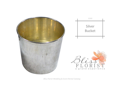 Silver-Bucket-58b1892ef2234.png
