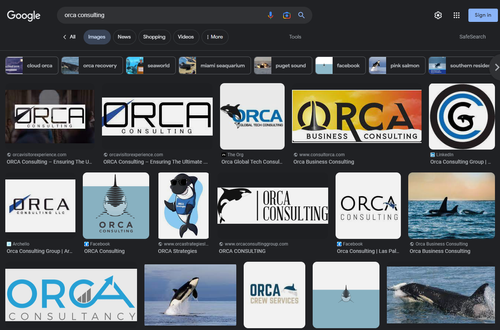 Orca Consulting Search Result.png
