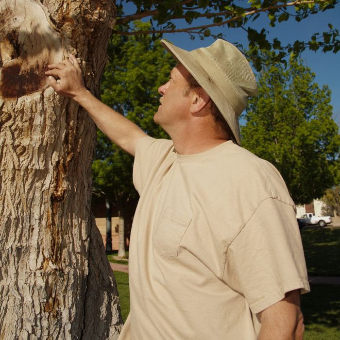 Choosing an Eco-Friendly Tree Trimming Service_ What to Consider Image 4.jpg