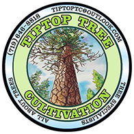 TipTop Tree Cultivation