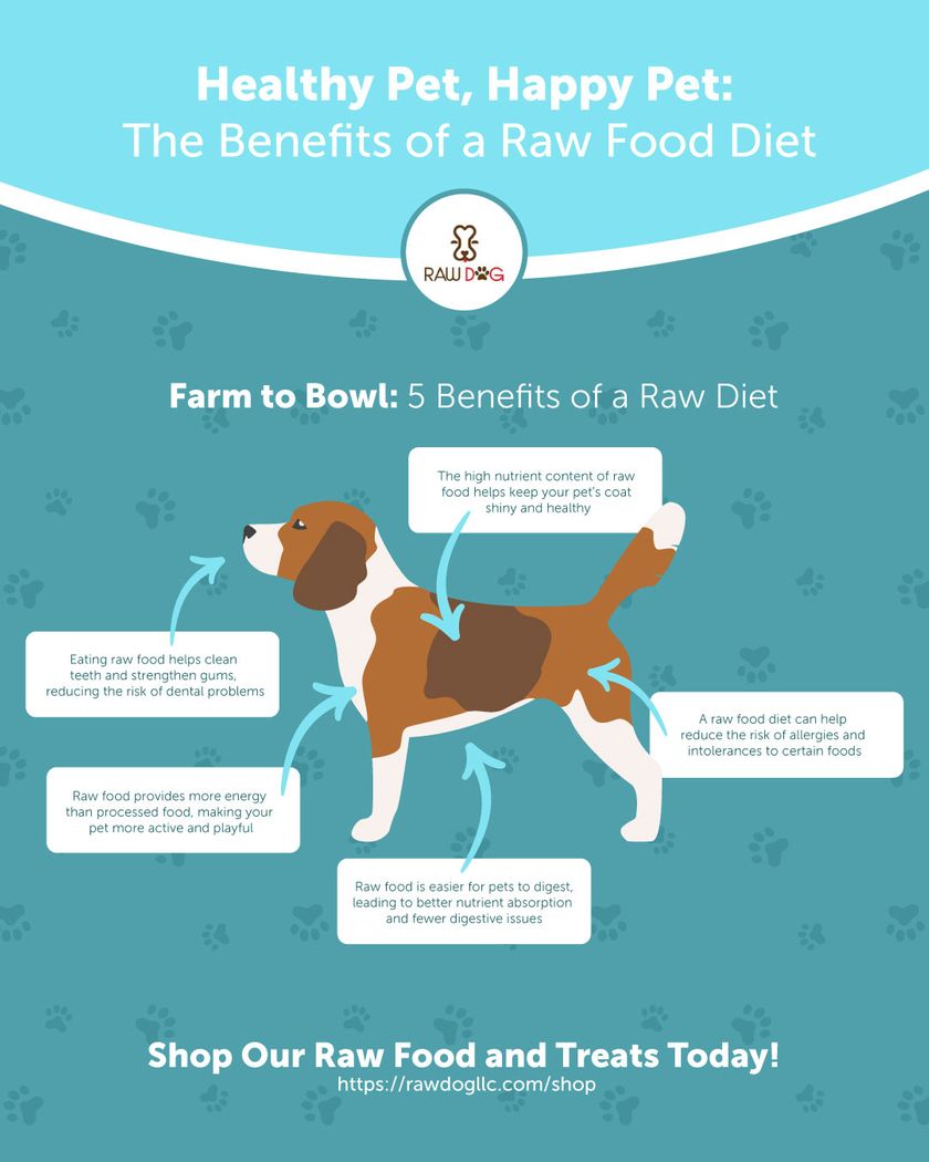 benefits of a raw dog food diet